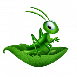 Fonds mask série 36