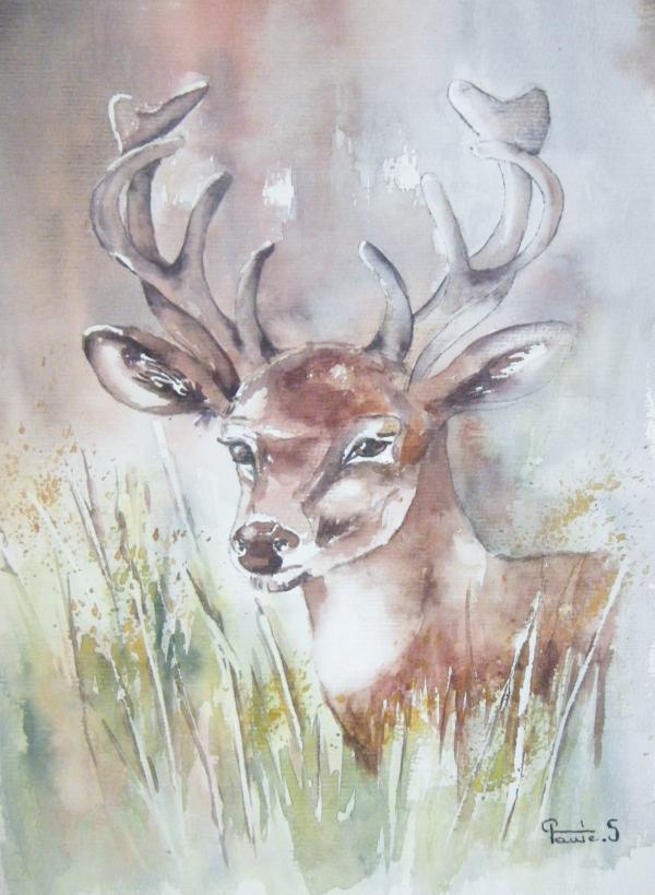 Peintures de : Paule