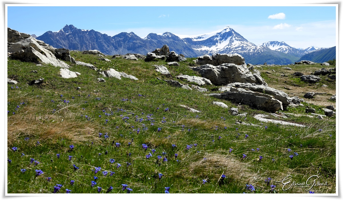 Retour au Col des Champs
