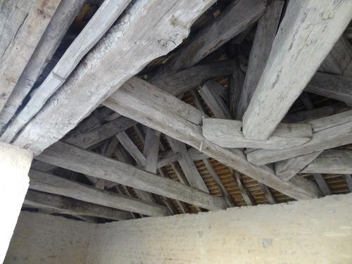 Une belle balade à Chaumont le bois et Vannaire, guidée par Anne Bouhélier