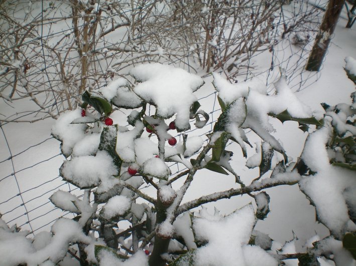 image28.jpg