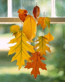 Hanging Leaves DIY: When dipped in wax, colorful leaves can be preserved through this season & beyond.