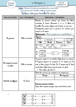 Activités gymniques en Grande Section