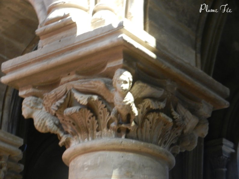 Image020.jpg