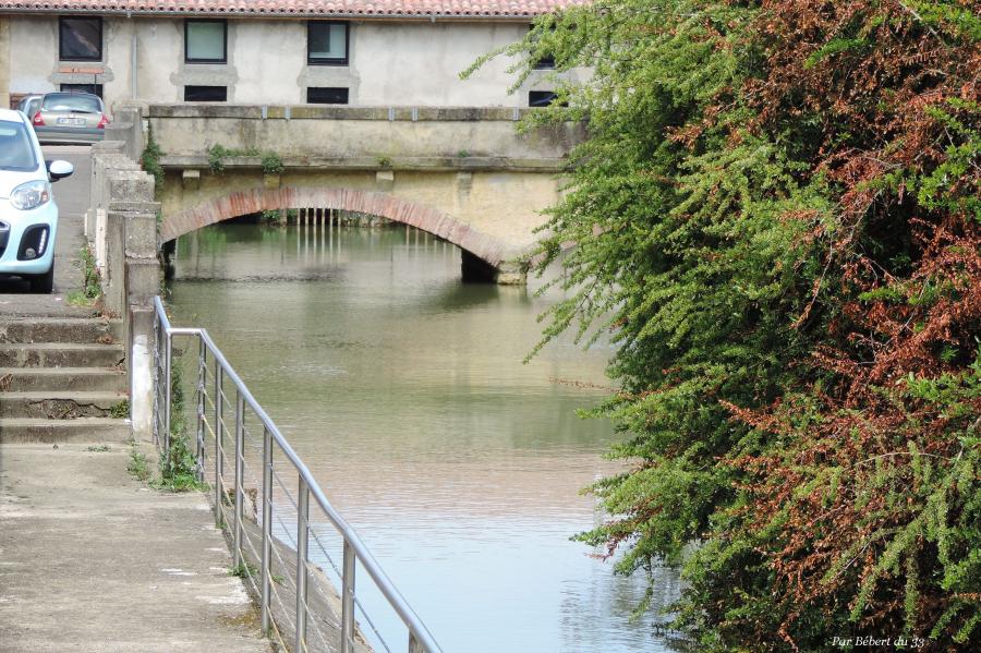 Aire sur l'Adour  dept 40