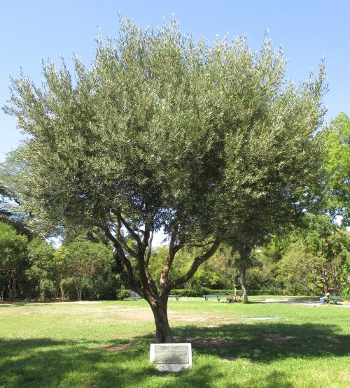 Le parc Longchamp à Marseille