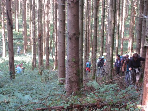 "Escapade en Vosges méridionales" - Week-end du 05 & 06 septembre 2015