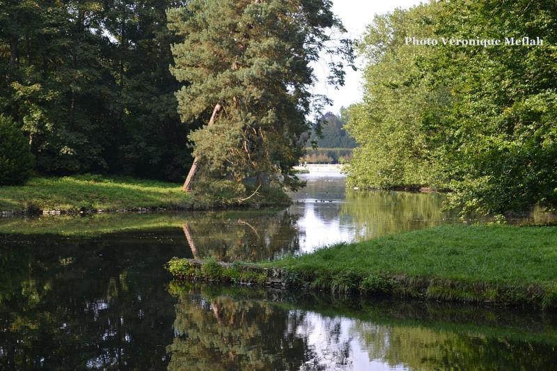 Promenade dans le Parc de Rambouillet