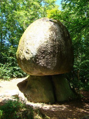 champignon-huelgoat17.JPG