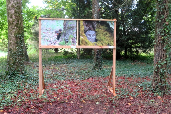 Une exposition de photographies aux Villas du Parc à Vanvey