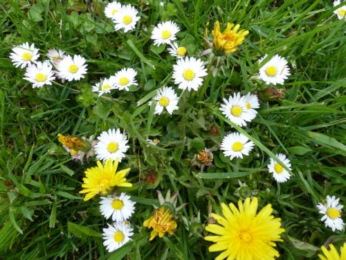 Couleur, promenade jaune :