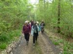 La randonnée du 28 avril à Ouézy