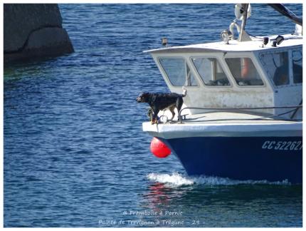Pointe de Trévignon à Trégunc - 29 - 
