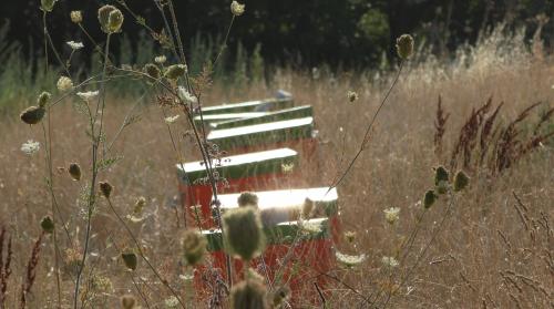 Les Météores : scènes pastorales 3/3