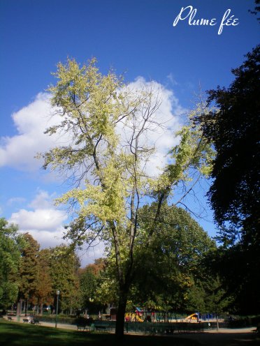 Image67.jpg