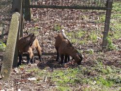 * Au Domaine de Bourgogne