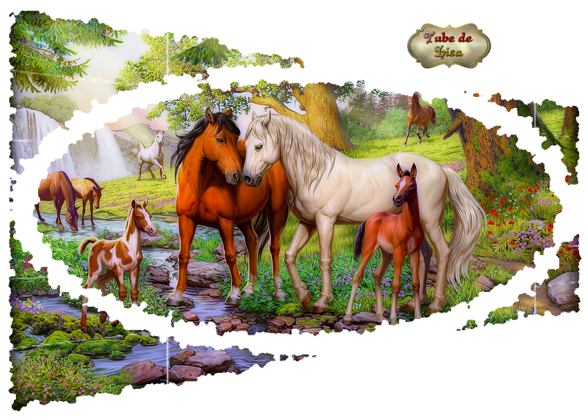 Animaux série 78