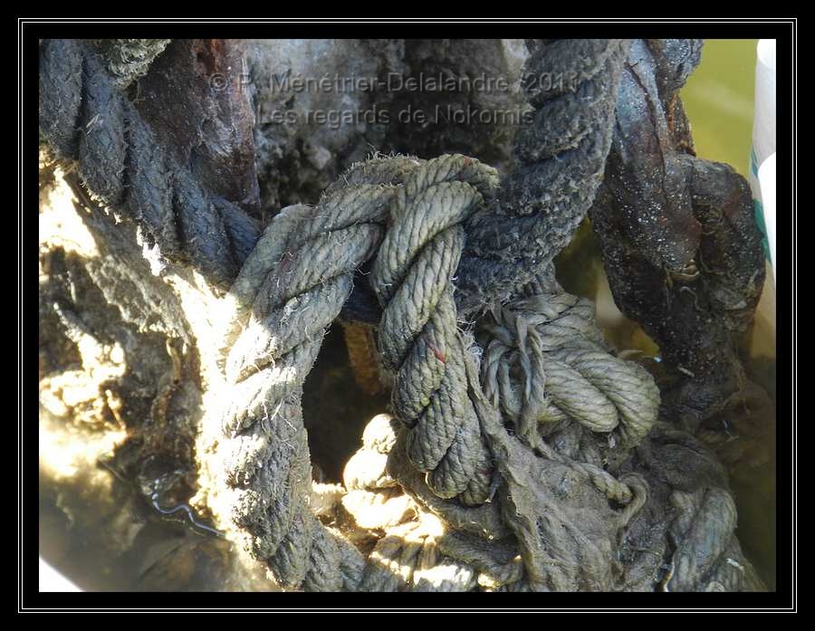 Cordages...