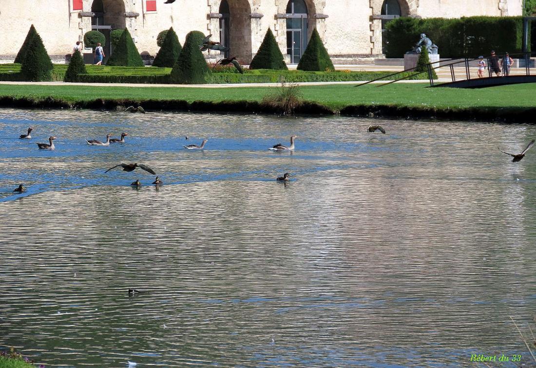 Vizille le château -2