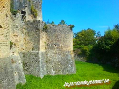 suite du château du pape Clement V a Villandraut (Gironde)