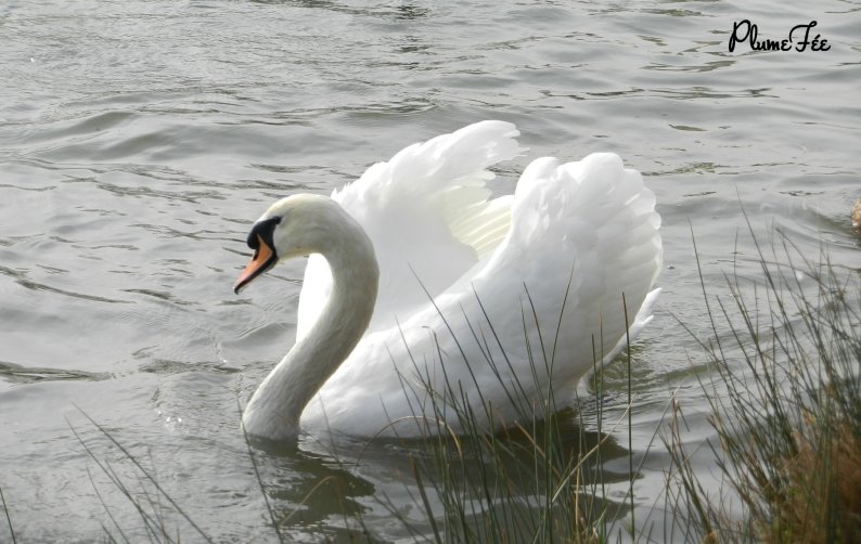 Image012.jpg