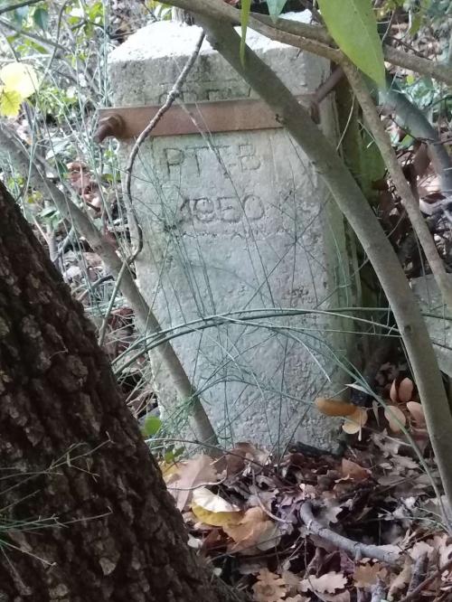 Campement abandonné, rebus de cyclo : Forêt à l'Orée de la ville