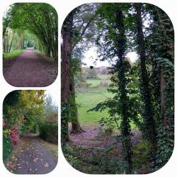 La balade du 15 octobre à Bretteville-sur-Odon