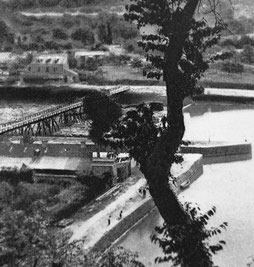 Peut être une image en noir et blanc de pont et arbre