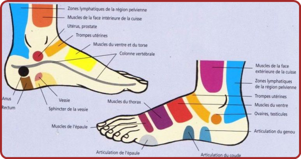 La Réflexologie.