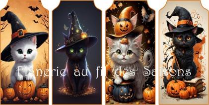 Halloween ! cartonnettes - MP