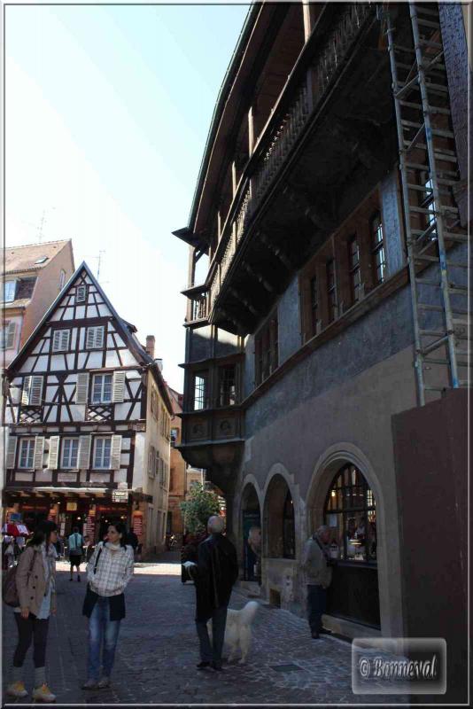 Alsace Haut-Rhin Colmar Maison Schongauer