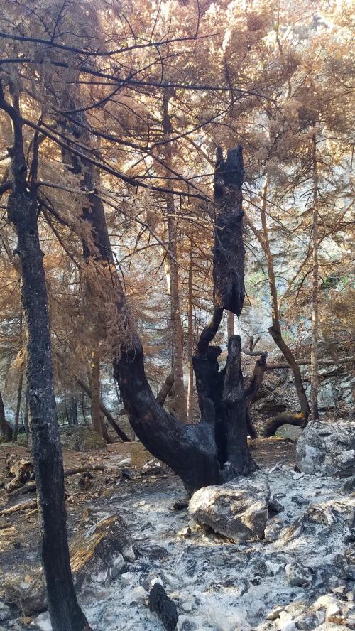 La flamme de l'espoir