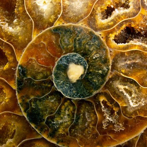 La ronde des crêtes