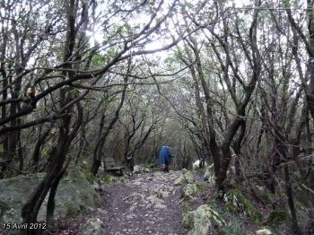(J11) Catro-Urdiales / Liendo 15 Avril 2012 