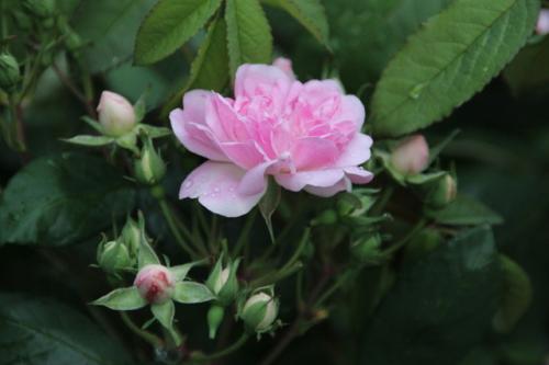 Le printemps est installé