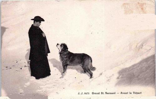 Saint-Bernard