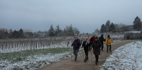 "Autour de La Motte" - Mercredi 10 février 2021