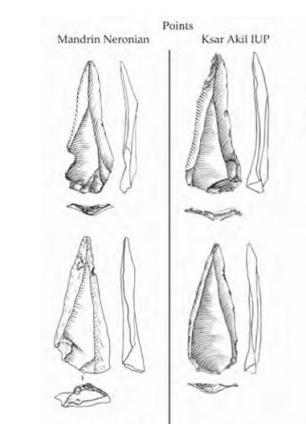 8 - L'expansion des Homo sapiens