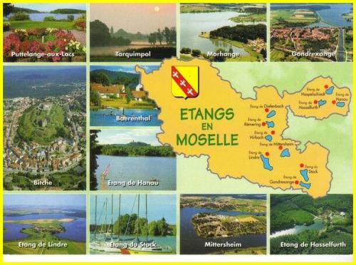 ⊱♥⊱╮ღ꧁ Aujourd'hui  57 La Moselle   ꧂ღ╭⊱♥≺