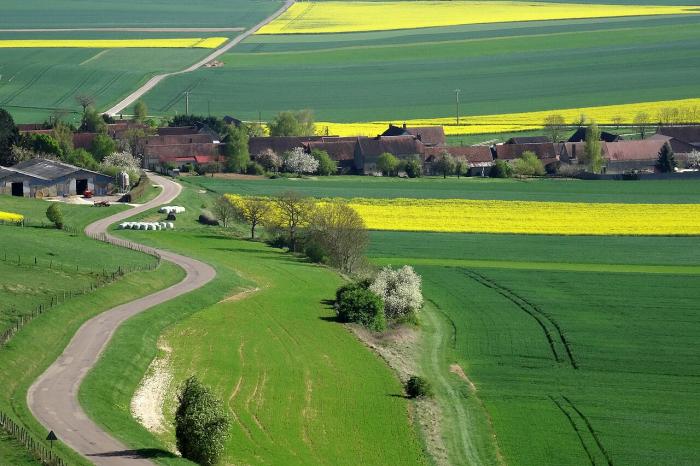 Département de l'Yonne
