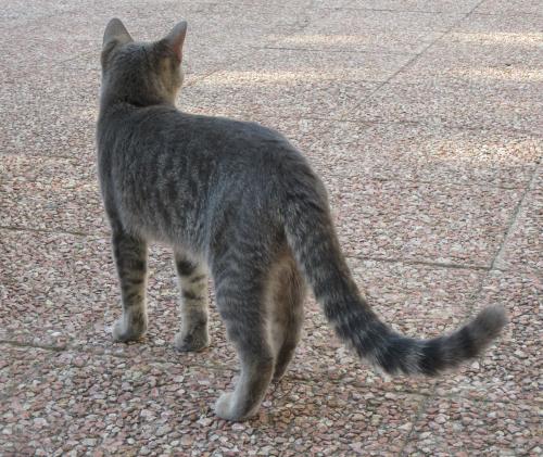 Balade dans le quartier du Panier à Marseille