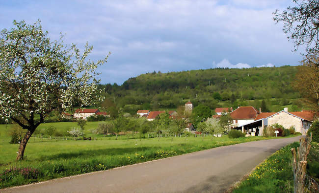 Département du Jura 2ème partie