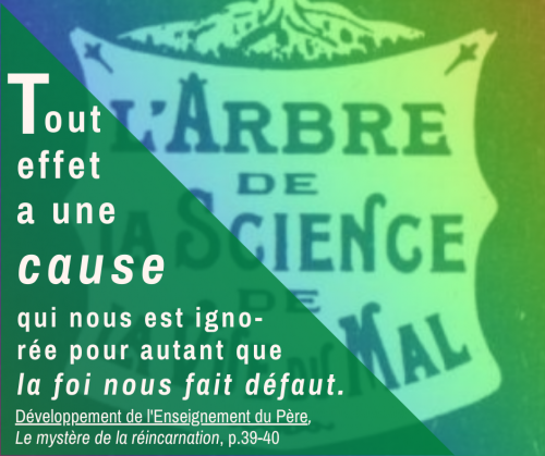 Développement, Le mystère de la réincarnation, p.39-40