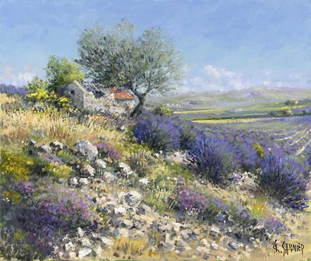 Peintures de : Daniel Sannier