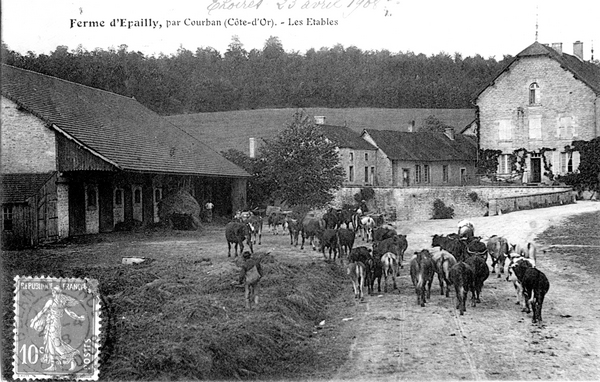 "La chapelle de la commanderie d'Epailly",un notule d'histoire de Dominique Masson