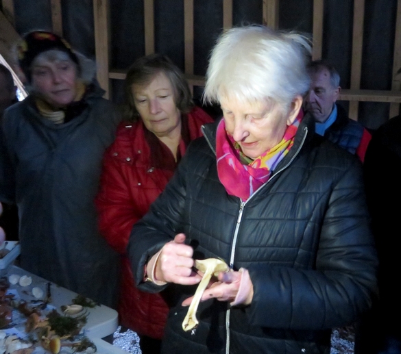 La Société Mycologique et le CSCL a organisé  une sortie découverte sur les  champignons le 16 novembre