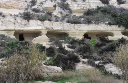 Lundi 20 au dimanche 26 janvier