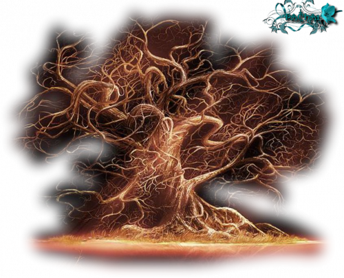 Tubes Fleurs et Paysages