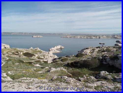 Balade aux iles du Frioul, Pomègues