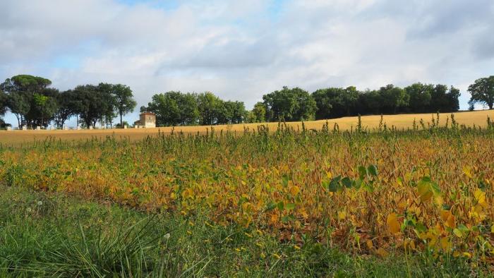 Légumes du mois de Septembre